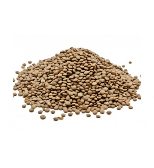 XYMA ΦΑΚΕΣ ΤΣΟΤΥΛΙΟΥ (500gr)